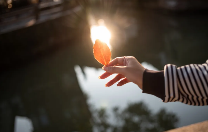 秋日(ri)濃度已超标 | 去周莊，走(zou)進(jin)第二箇(ge)春天