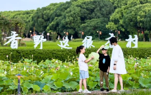 消夏指南(nan)丨26℃的(de)香村「清(qing)涼貼」 