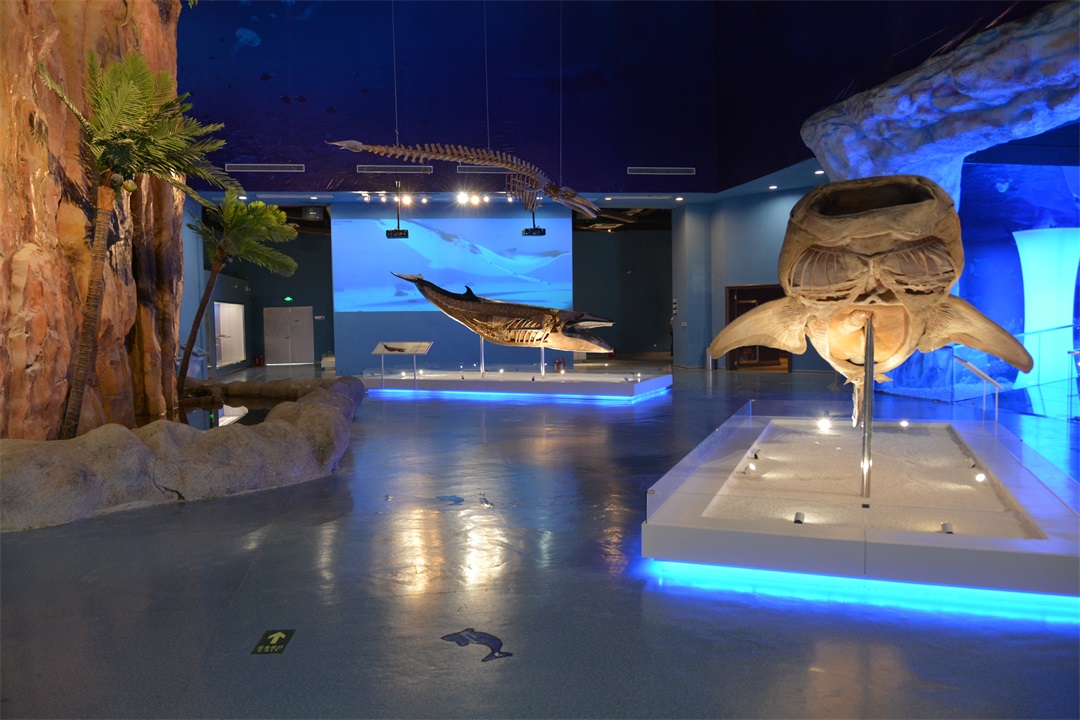 20210705-生(sheng)命奧秘博物(wù)館 (2).jpeg