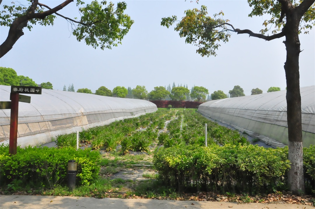 20170416-上膳源農場(chang) (2).JPG